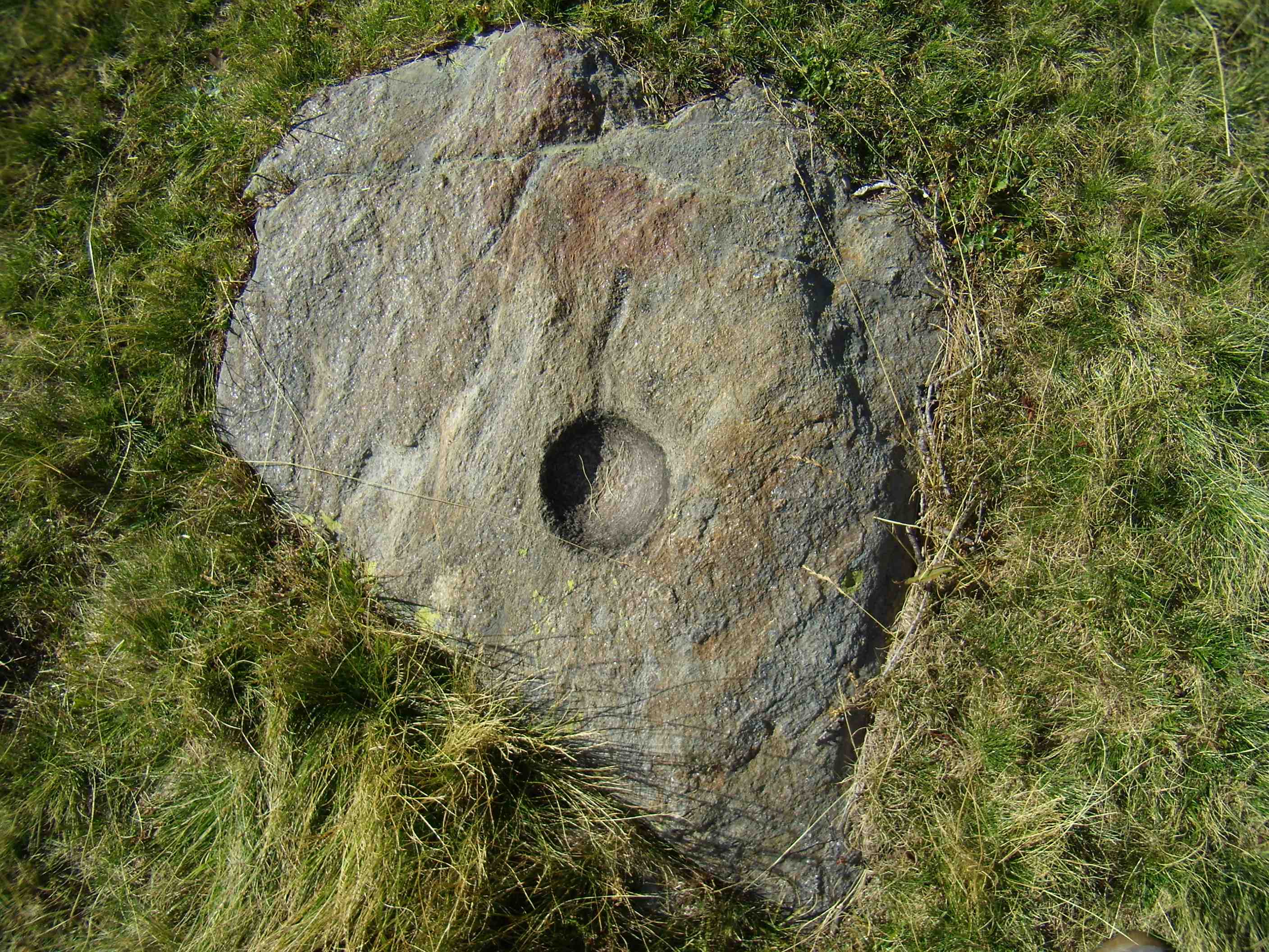 P9060083